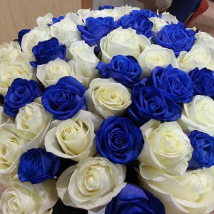 Синие розы – редкие цветы